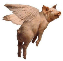 pig-asas