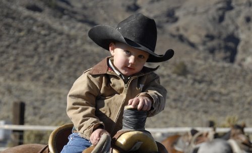 menino cavalo